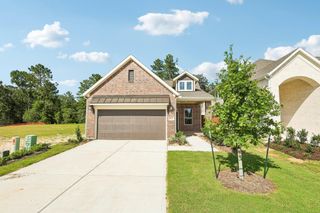 15715 Azure Petal Lane, Conroe, TX 77302