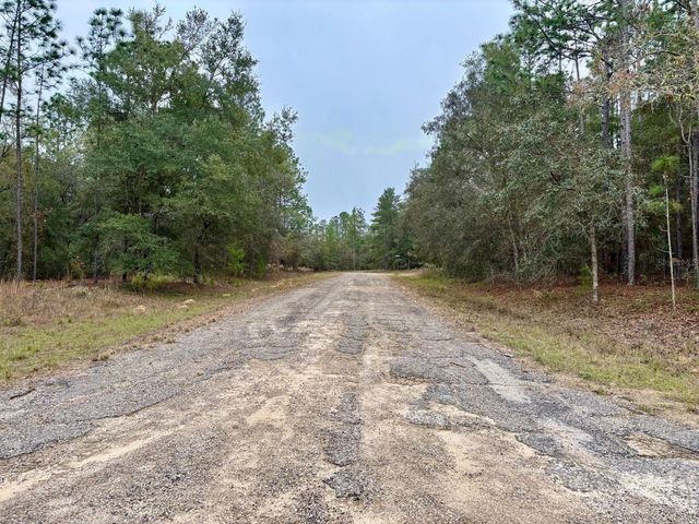 517 E NEMO DRIVE, Citrus Springs, FL 34434