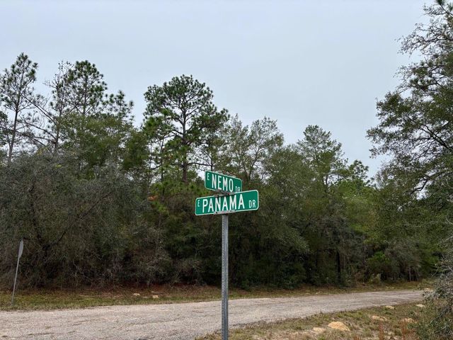 517 E NEMO DRIVE, Citrus Springs, FL 34434