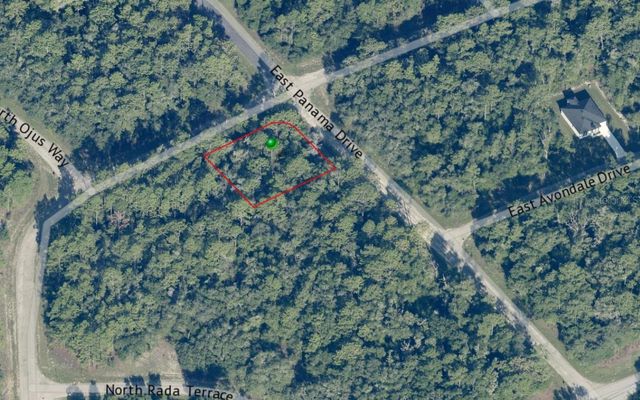 517 E NEMO DRIVE, Citrus Springs, FL 34434