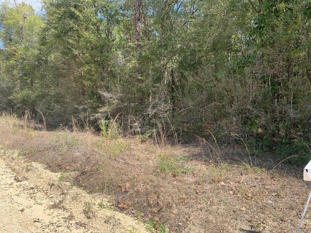 163 Tim Boland Road, Defuniak Springs, FL 32435