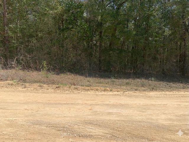 163 Tim Boland Road, Defuniak Springs, FL 32435