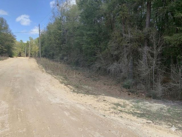 163 Tim Boland Road, Defuniak Springs, FL 32435