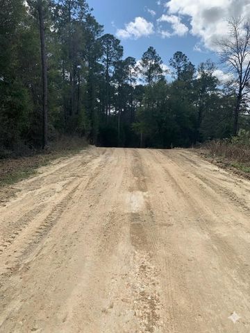 163 Tim Boland Road, Defuniak Springs, FL 32435