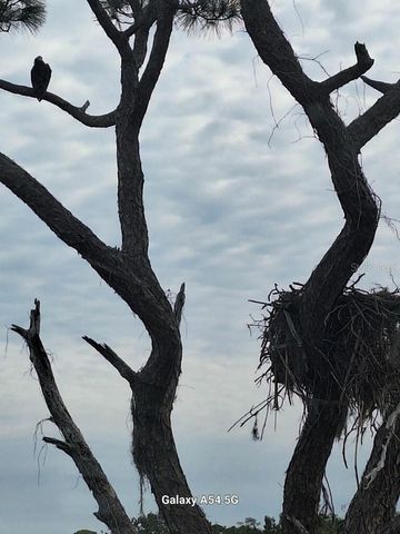 7930 34TH AVENUE W 202, Bradenton, FL 34209