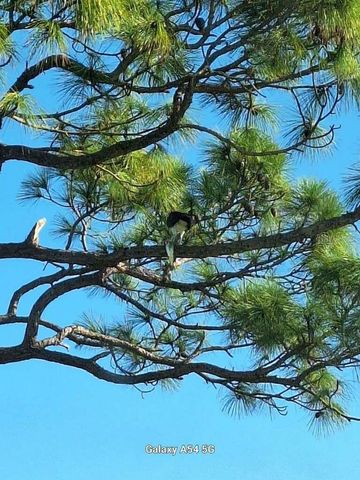 7930 34TH AVENUE W 202, Bradenton, FL 34209