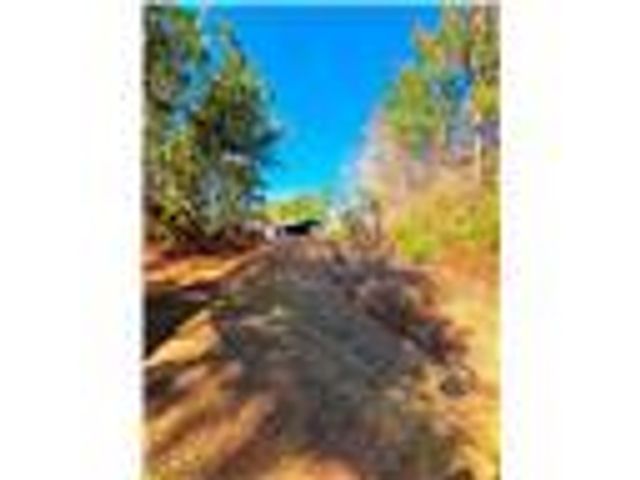 654 County Road 353, Elba, AL 36323