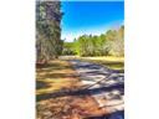 654 County Road 353, Elba, AL 36323