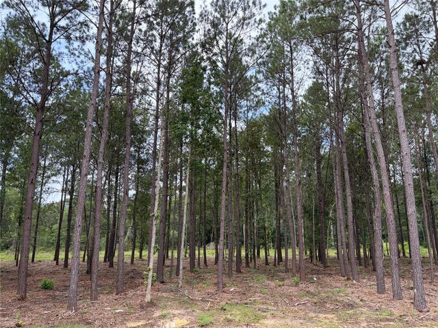 13660 Armstrong Street, Conroe, TX 77303