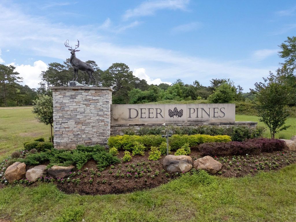 13660 Armstrong Street, Conroe, TX 77303