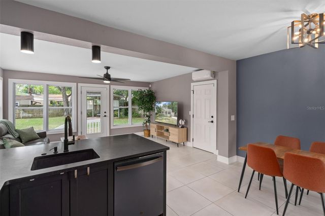 1007 E JEAN STREET, Tampa, FL 33604