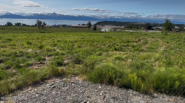 41450 Wandering Street, Homer, AK 99603