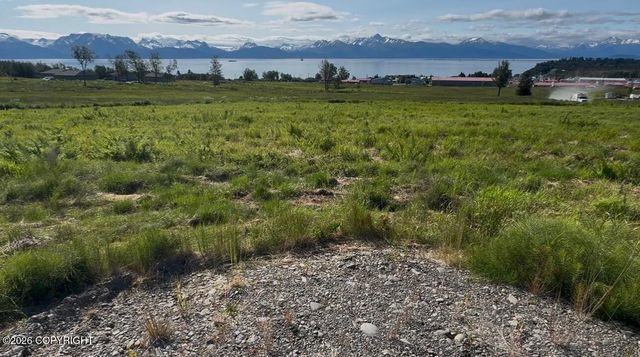 41450 Wandering Street, Homer, AK 99603