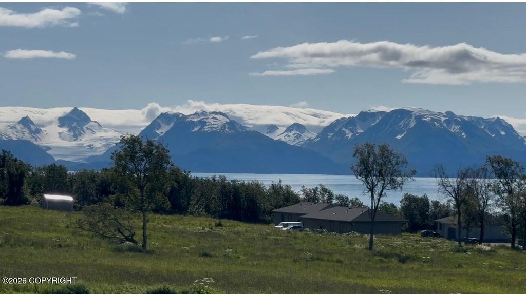 41450 Wandering Street, Homer, AK 99603