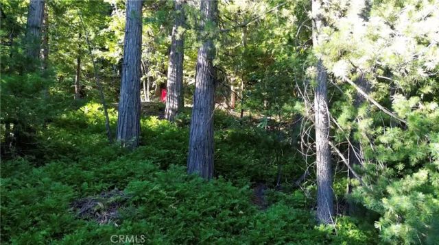 521 Stone Hill, Lake Arrowhead, CA 92352