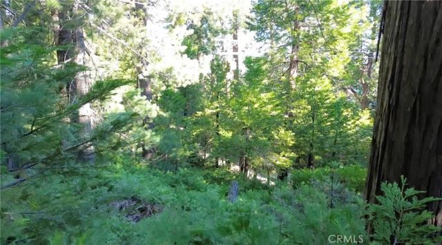 521 Stone Hill, Lake Arrowhead, CA 92352