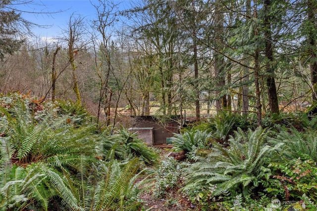 155 Nisqually Way, Ashford, WA 98304
