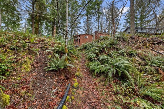 155 Nisqually Way, Ashford, WA 98304