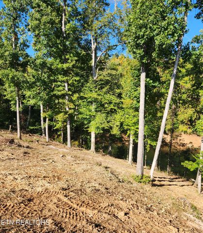 Lot 36 Bridgewater Pointe Blvd, Morristown, TN 37816