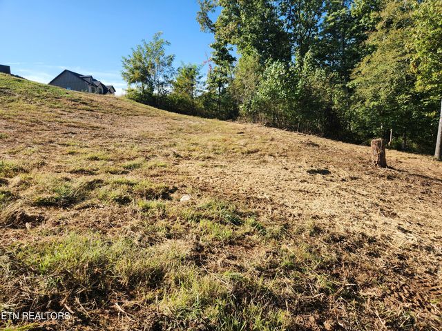 Lot 36 Bridgewater Pointe Blvd, Morristown, TN 37816