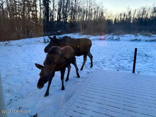 4450 W Murray Drive, Wasilla, AK 99623