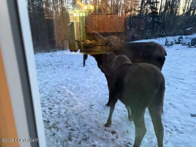 4450 W Murray Drive, Wasilla, AK 99623