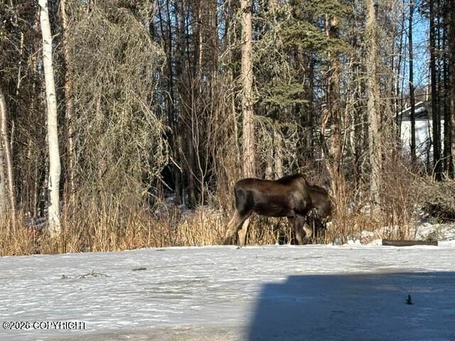 4450 W Murray Drive, Wasilla, AK 99623