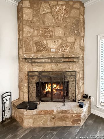 1191 Mossy Hollow, Spring Branch, TX 78070