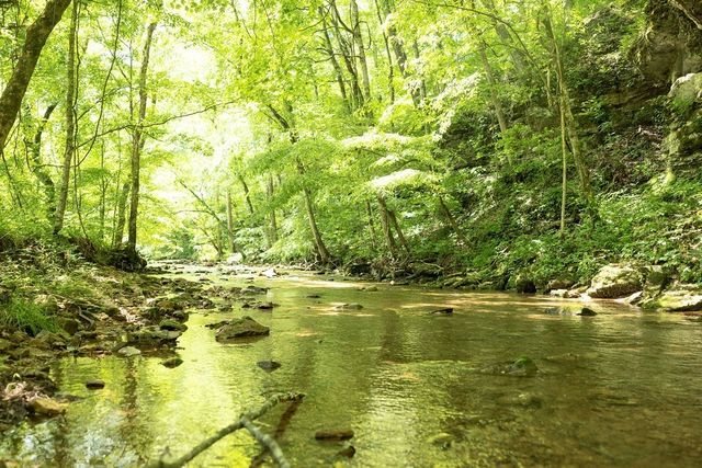 5580 Chambers Rd, Cumberland Furnace, TN 37051