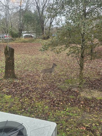 3846 New Bushy Branch Rd, Manchester, TN 37355