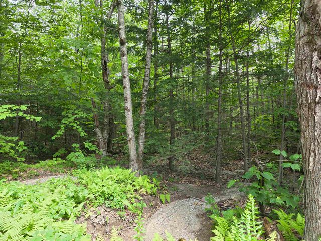 0 Reed Carr Road, Antrim, NH 03440