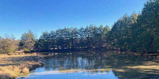 TBDT Dugan Chapel Road, Bells, TX 75414