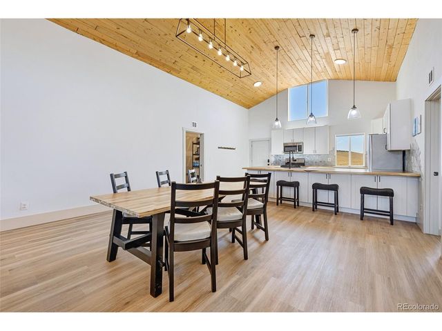 2125 James Ln, Fairplay, CO 80440