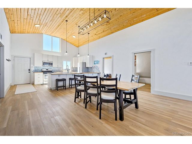 2125 James Ln, Fairplay, CO 80440