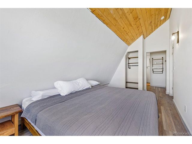 2125 James Ln, Fairplay, CO 80440