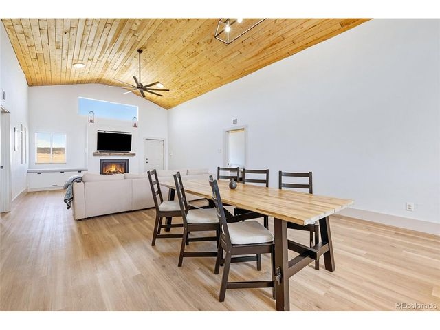 2125 James Ln, Fairplay, CO 80440