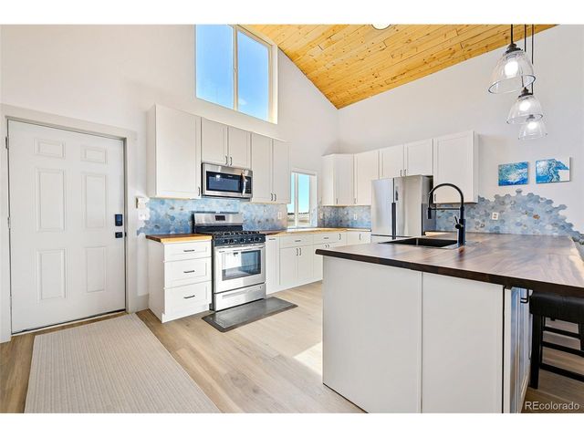2125 James Ln, Fairplay, CO 80440