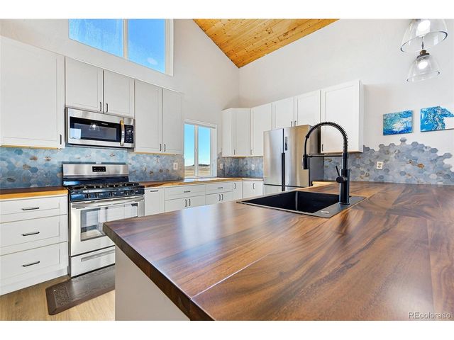 2125 James Ln, Fairplay, CO 80440