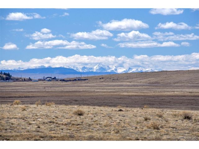 2125 James Ln, Fairplay, CO 80440