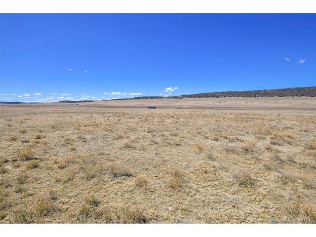 2125 James Ln, Fairplay, CO 80440