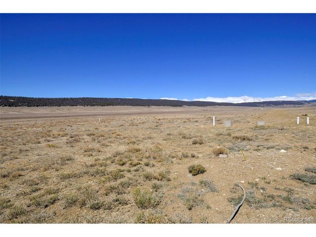 2125 James Ln, Fairplay, CO 80440