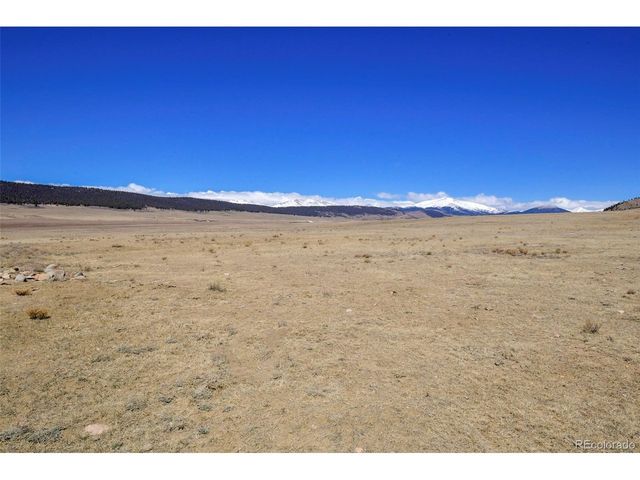 2125 James Ln, Fairplay, CO 80440