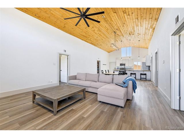 2125 James Ln, Fairplay, CO 80440