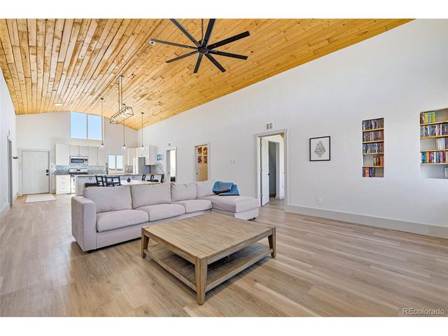 2125 James Ln, Fairplay, CO 80440