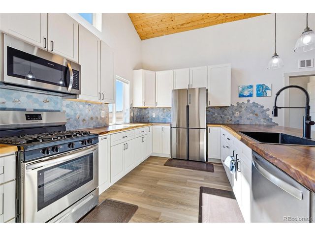 2125 James Ln, Fairplay, CO 80440