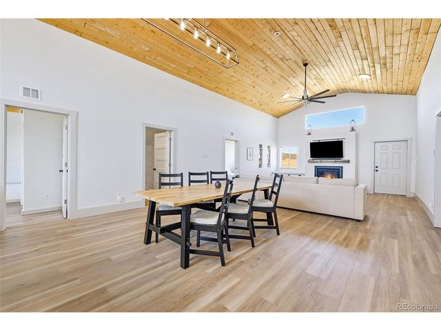 2125 James Ln, Fairplay, CO 80440