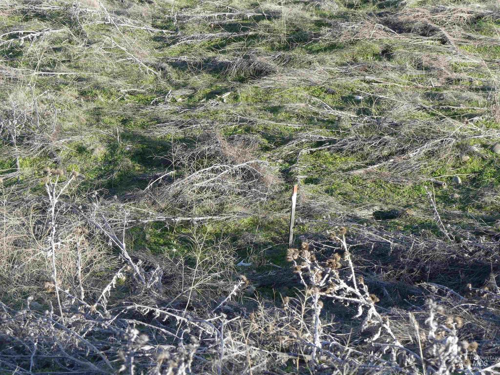 2987 Knollcrest Dr, Lewiston, ID 83501 photo 17