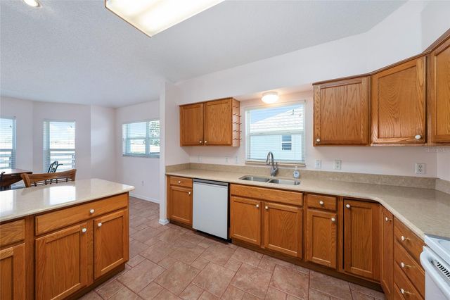 1709 MADERO DRIVE, The Villages, FL 32159