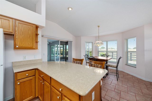 1709 MADERO DRIVE, The Villages, FL 32159