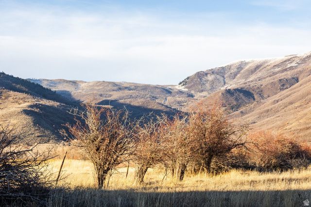 554 W 1150 N, Midway, UT 84049